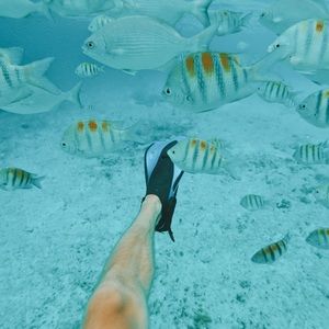 Meet your Posher, Adam